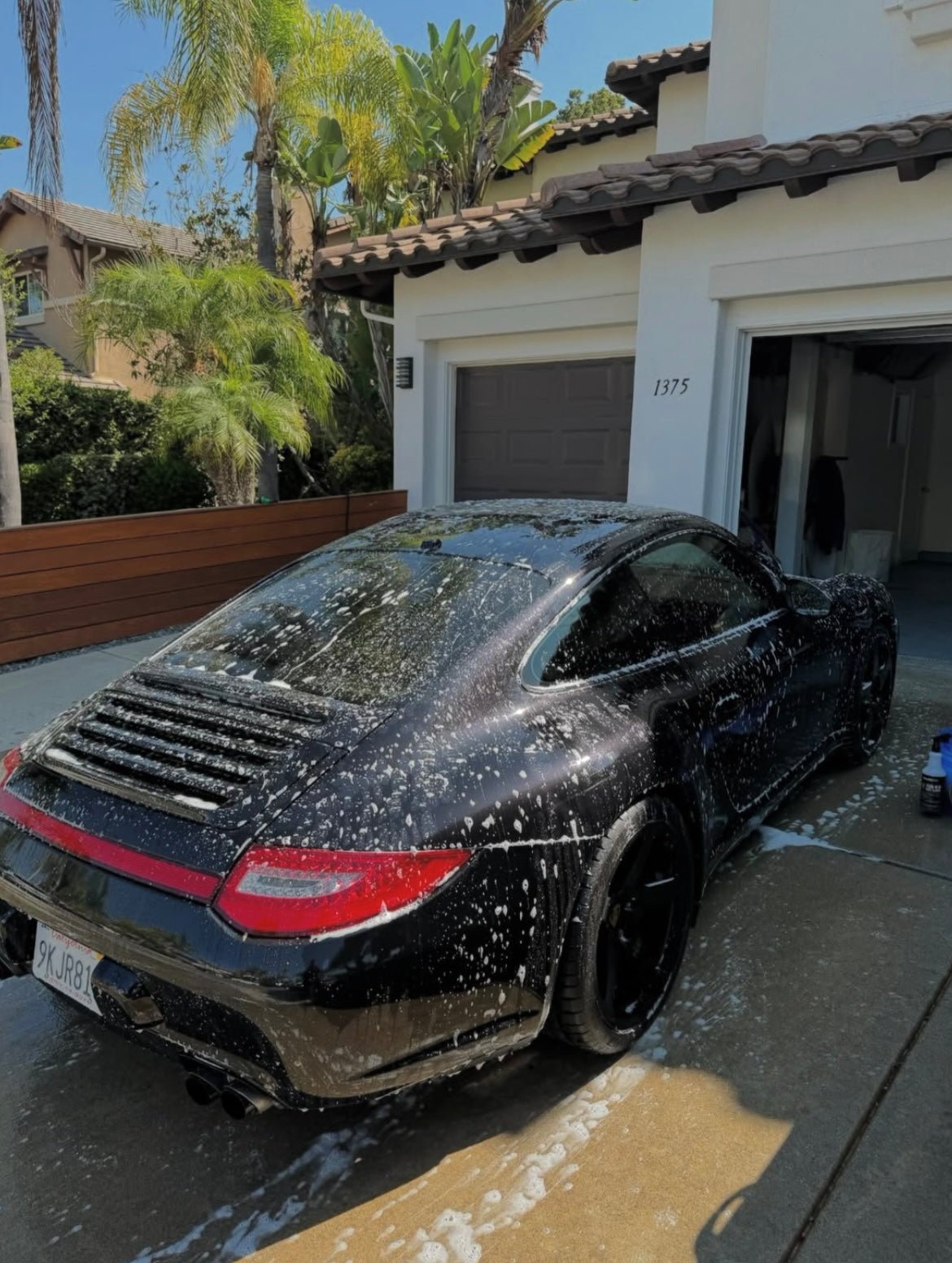 Exterior - Pollitos details