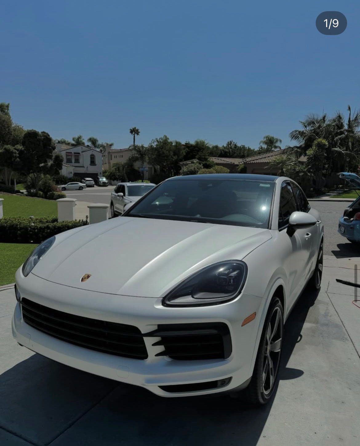 Basic package - Pollitos details