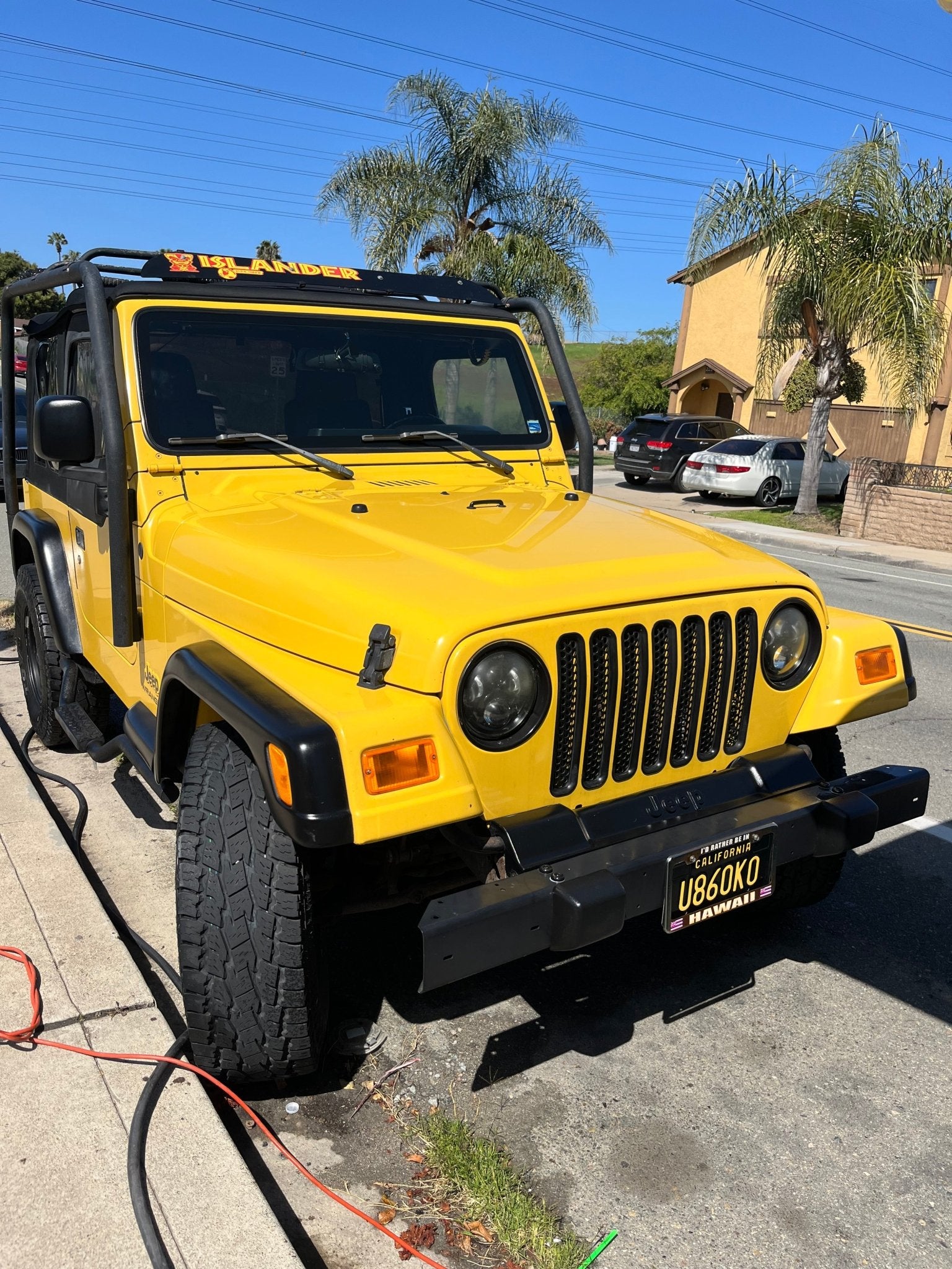 Exterior - Pollitos details