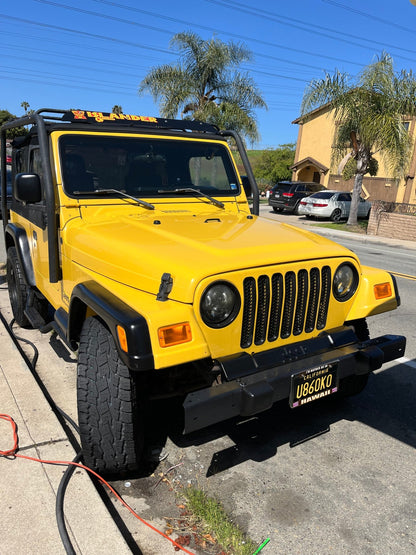 Exterior - Pollitos details