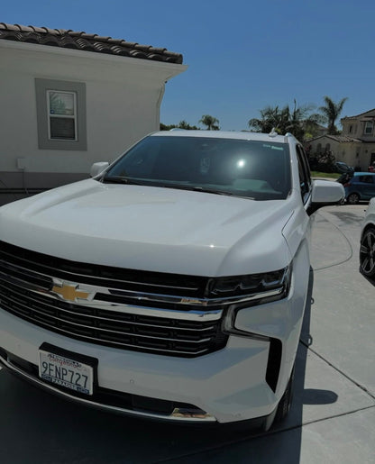 Exterior - Pollitos details