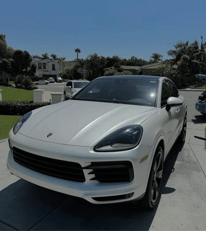 Exterior - Pollitos details