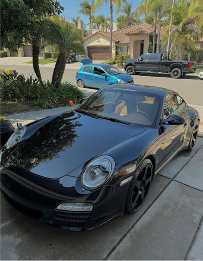 Exterior - Pollitos details