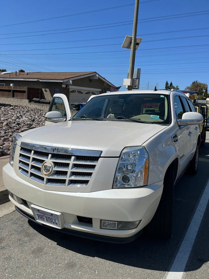 Exterior - Pollitos details