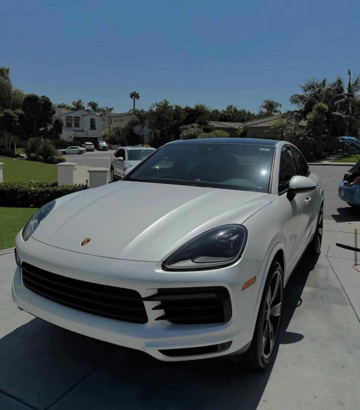 Inside & Out - Pollitos details