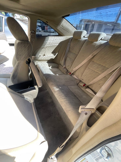 Inside & Out - Pollitos details