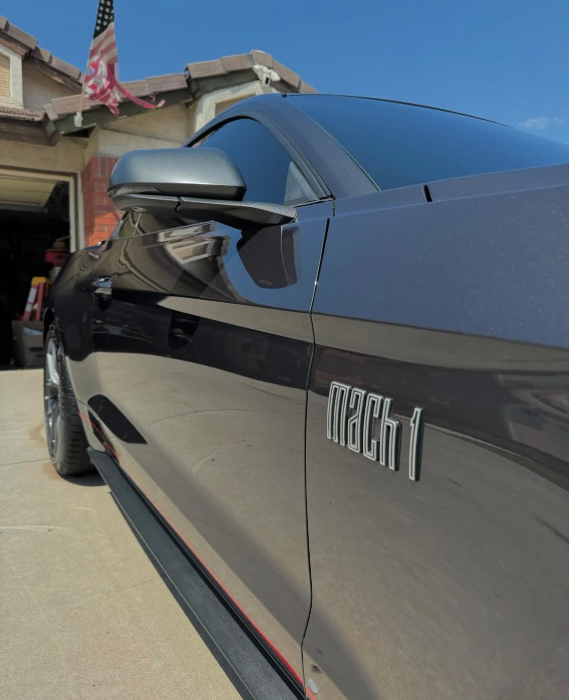 Inside & Out - Pollitos details