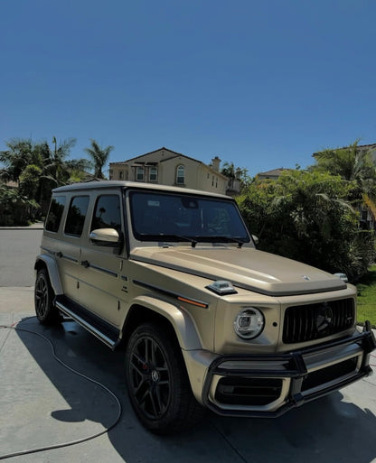 Inside & Out - Pollitos details