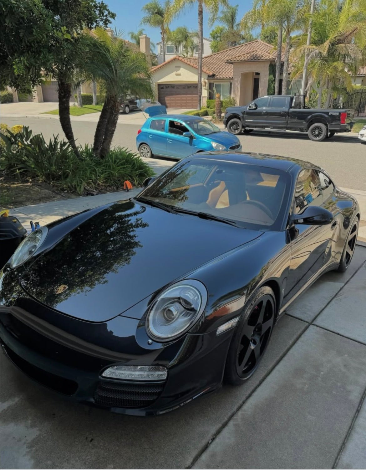 Inside & Out - Pollitos details