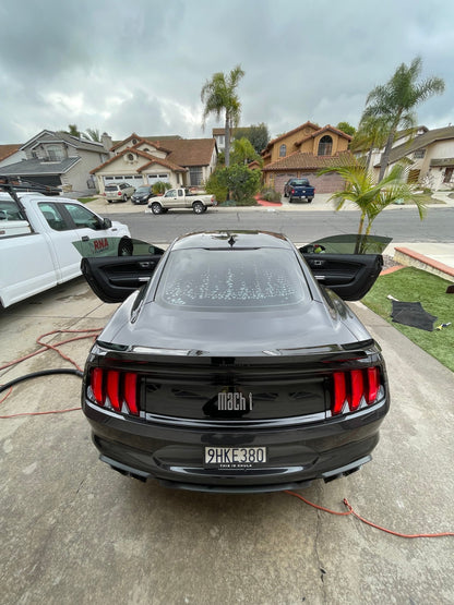 Inside & Out - Pollitos details