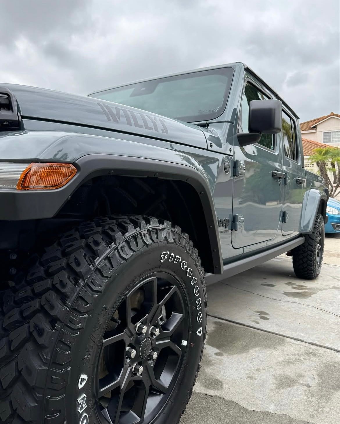 Inside & Out - Pollitos details