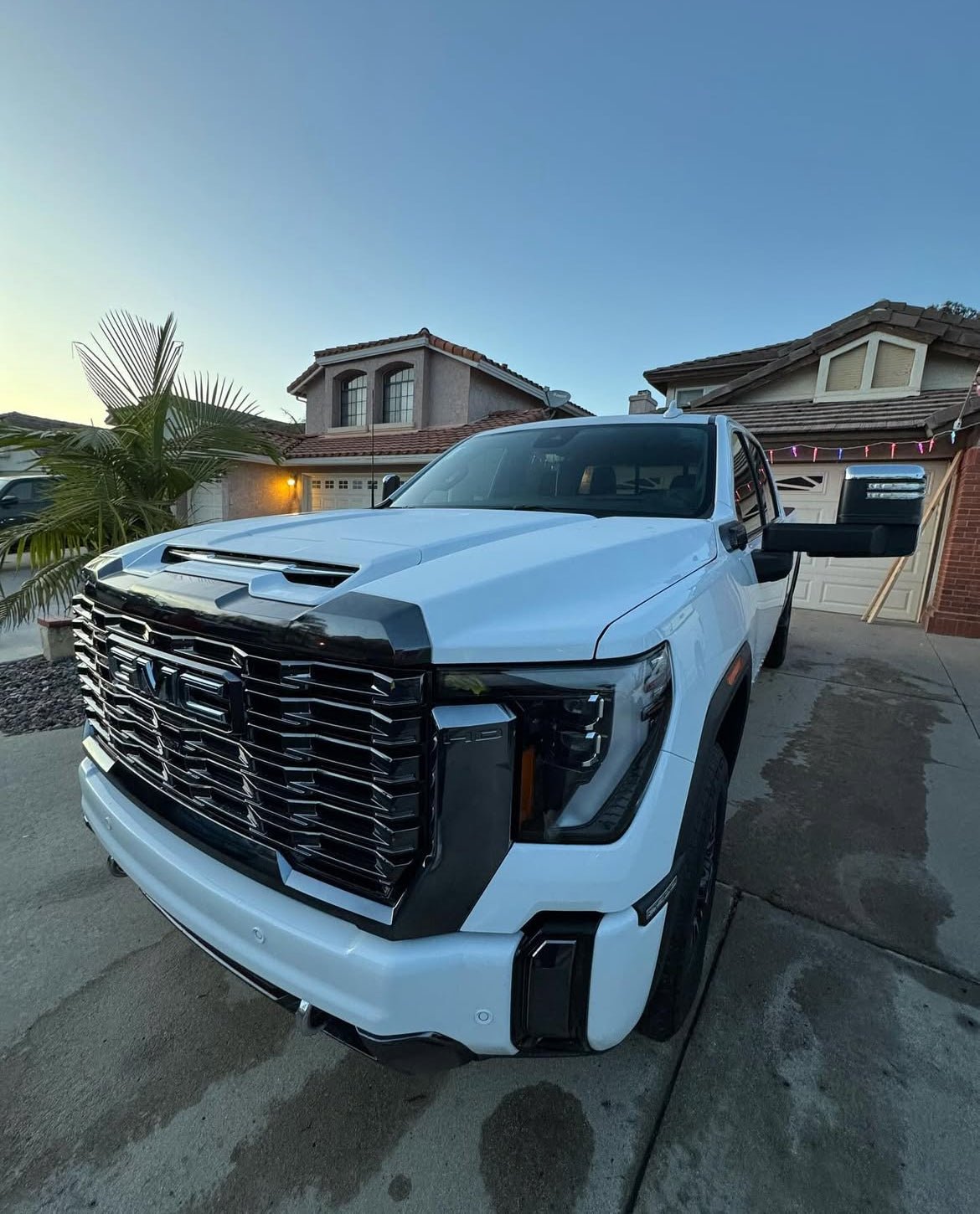 Inside & Out - Pollitos details