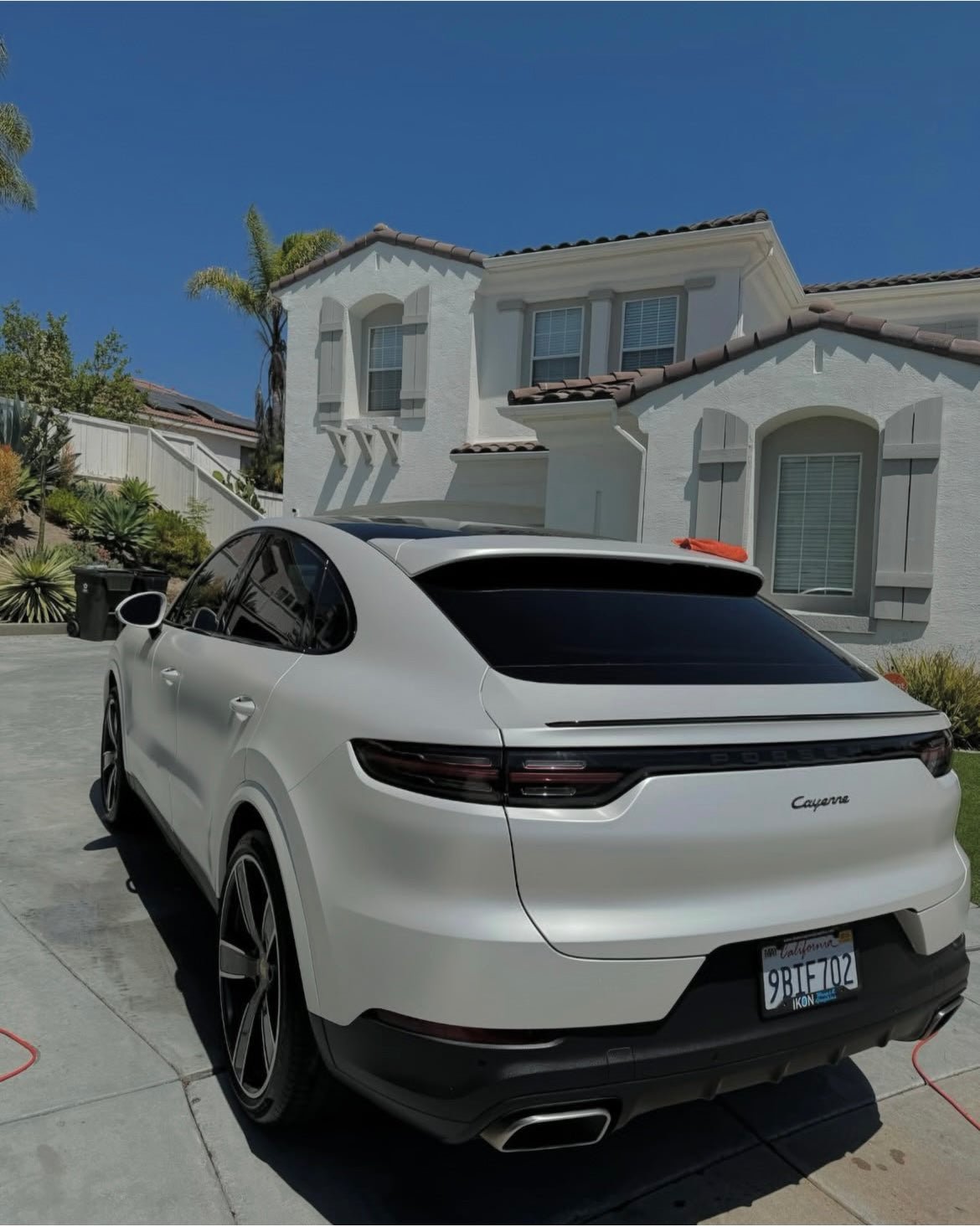 Inside & Out - Pollitos details