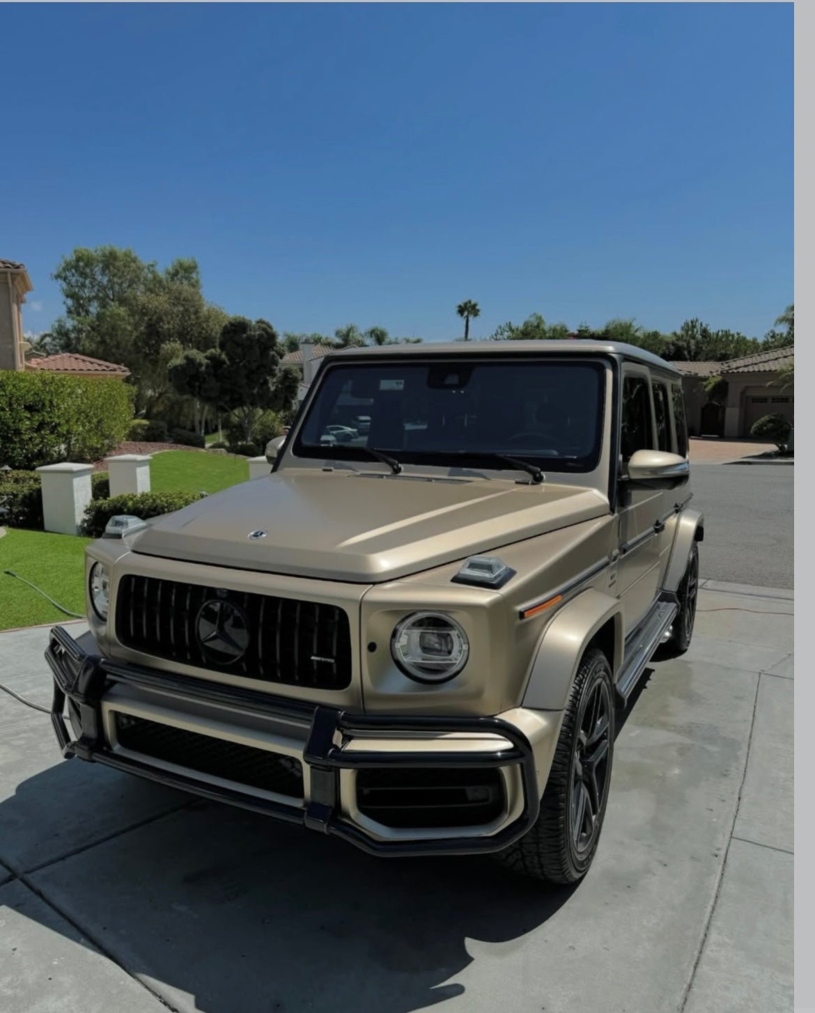 Inside & Out - Pollitos details