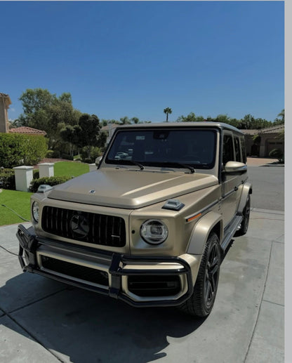 Inside & Out - Pollitos details