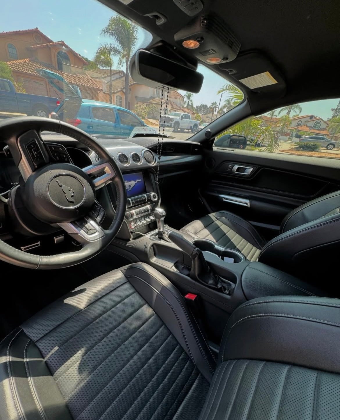 Inside & Out - Pollitos details