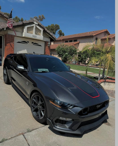 Inside & Out - Pollitos details