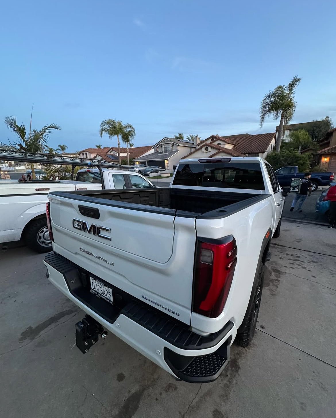 Inside & Out - Pollitos details