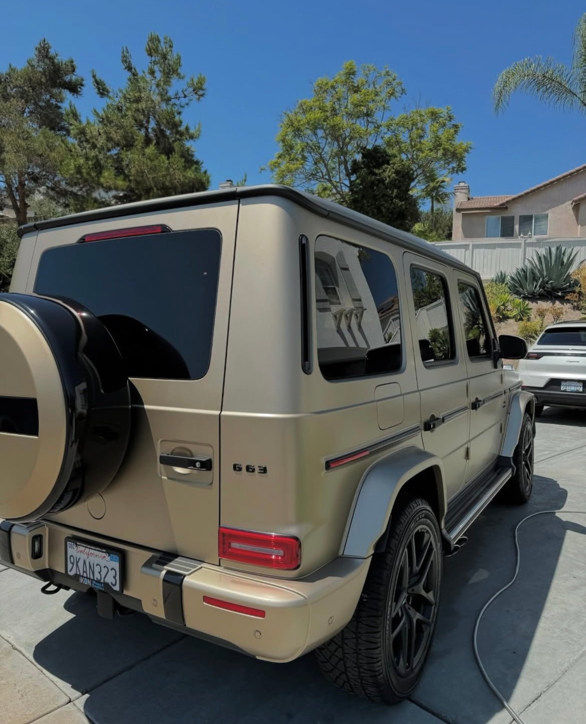 Inside & Out - Pollitos details