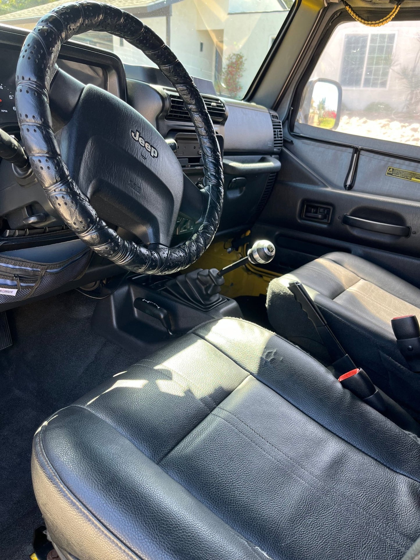 Inside & Out - Pollitos details