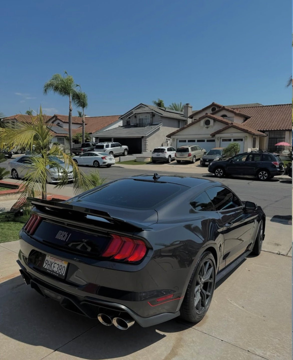 Inside & Out - Pollitos details