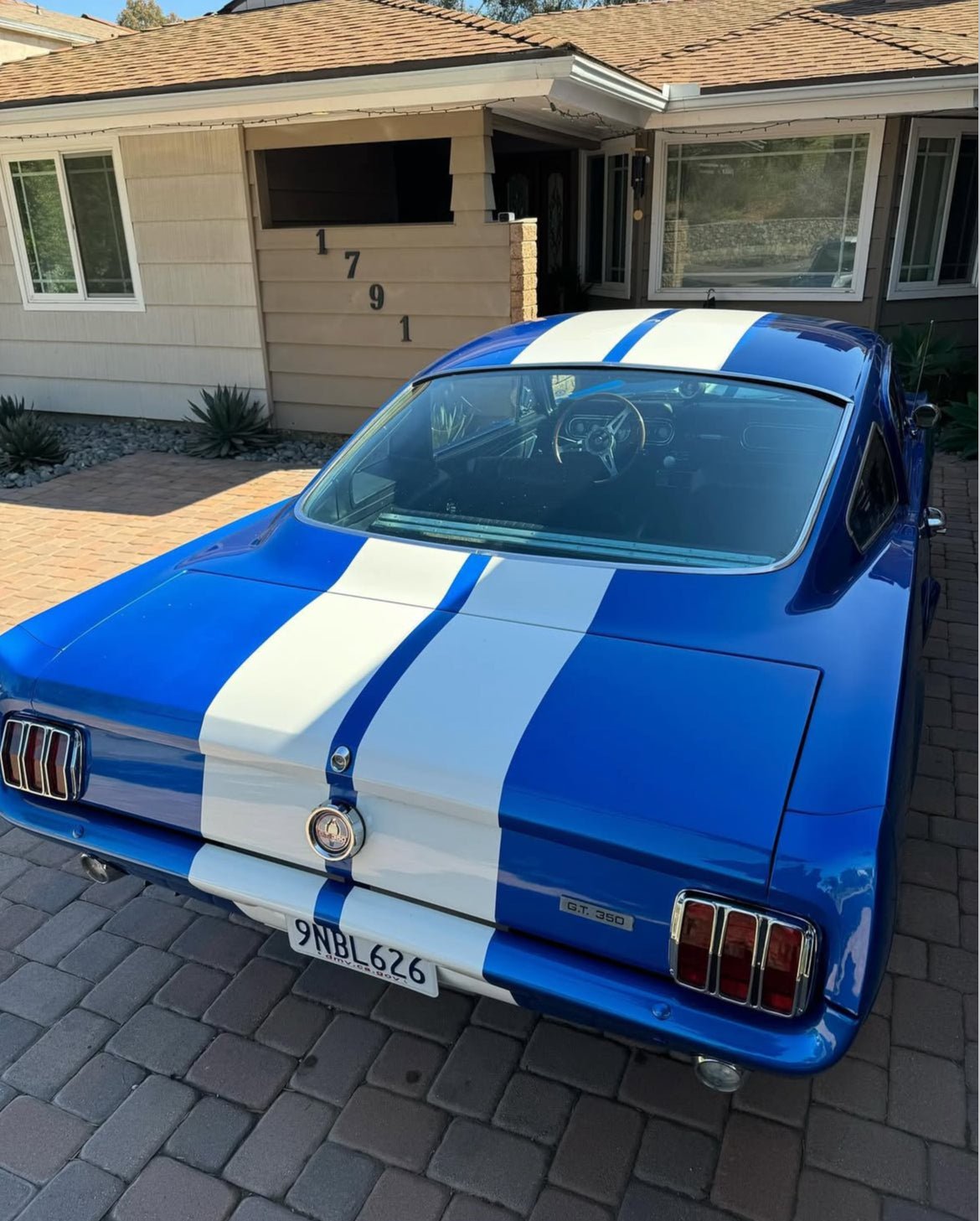 Inside & Out - Pollitos details