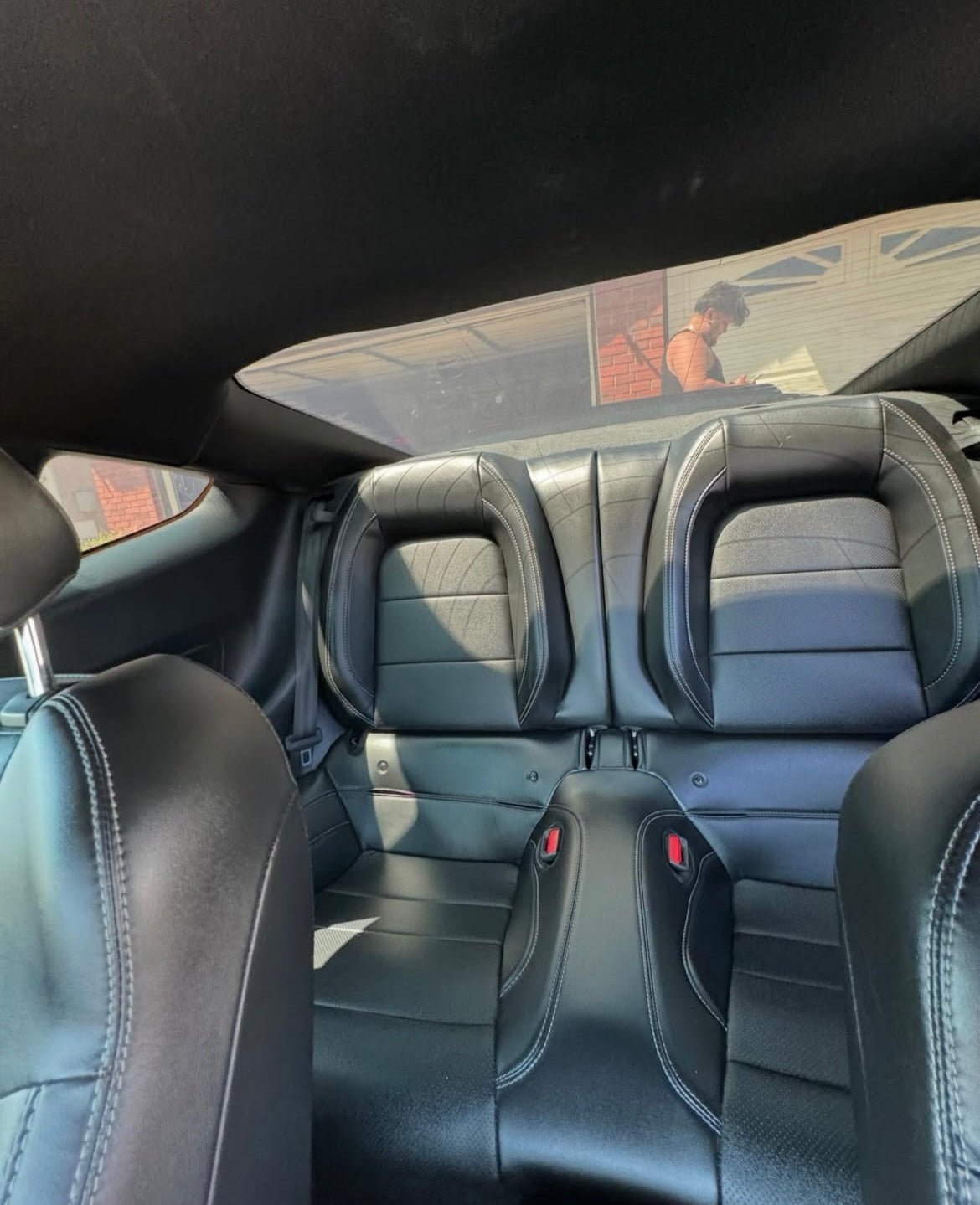 Interior detail - Pollitos details